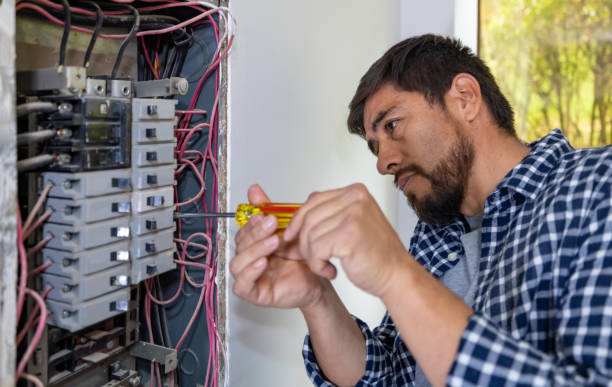 Best Electric Panel Repair  in Progreso, TX